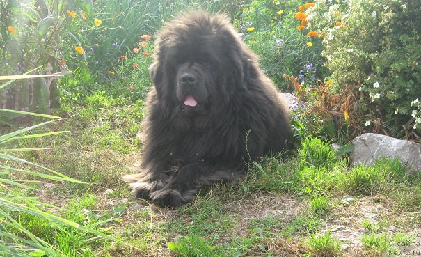 Фотография № 190944