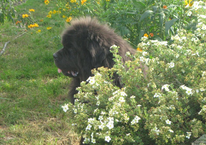 Фотография № 190945