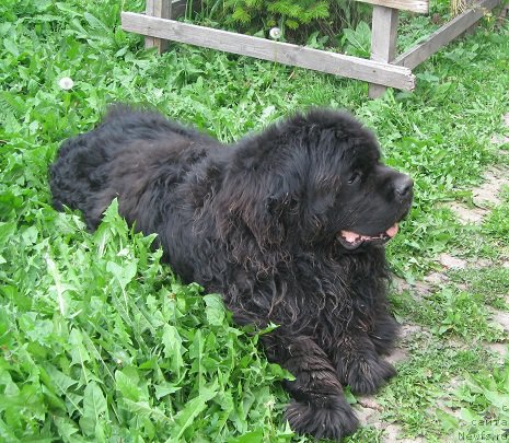 Фотография № 190946