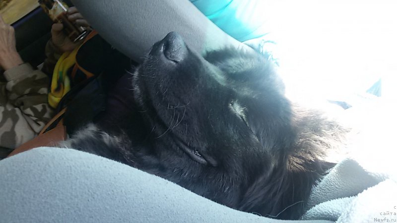 Фотография № 190950