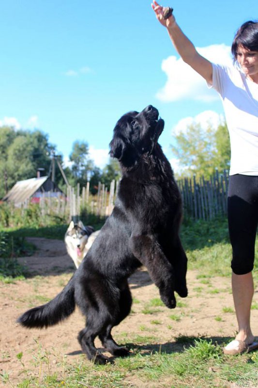 Фотография № 190959