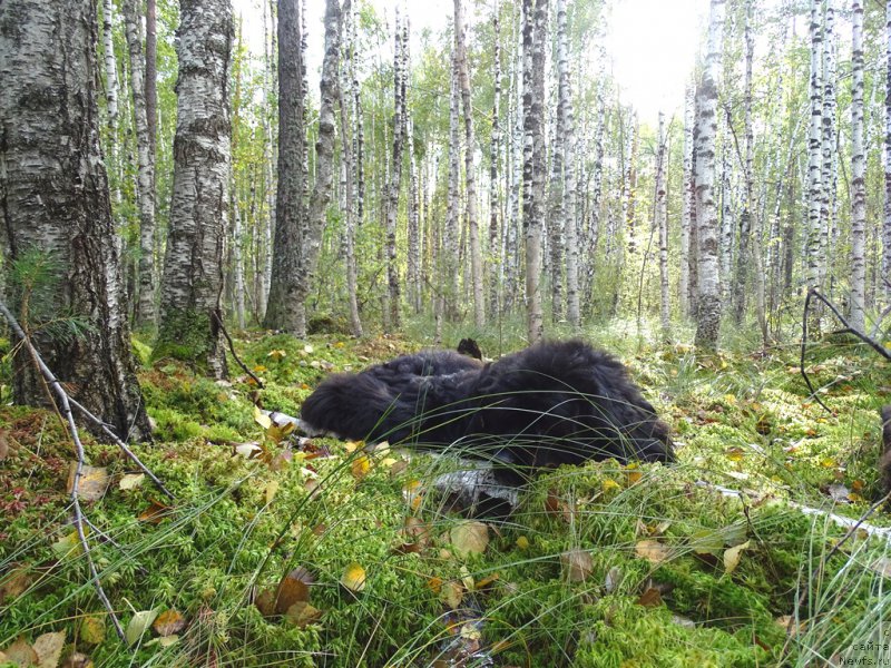 Фотография № 190966