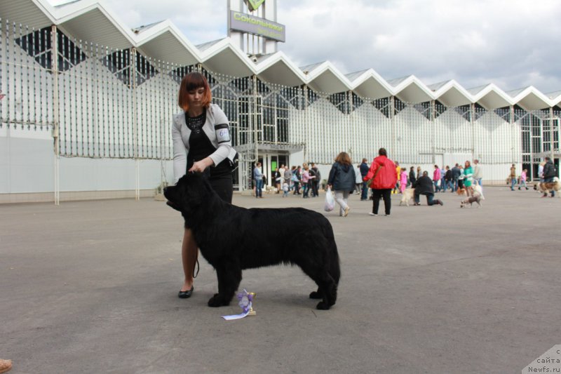 Фотография № 191018