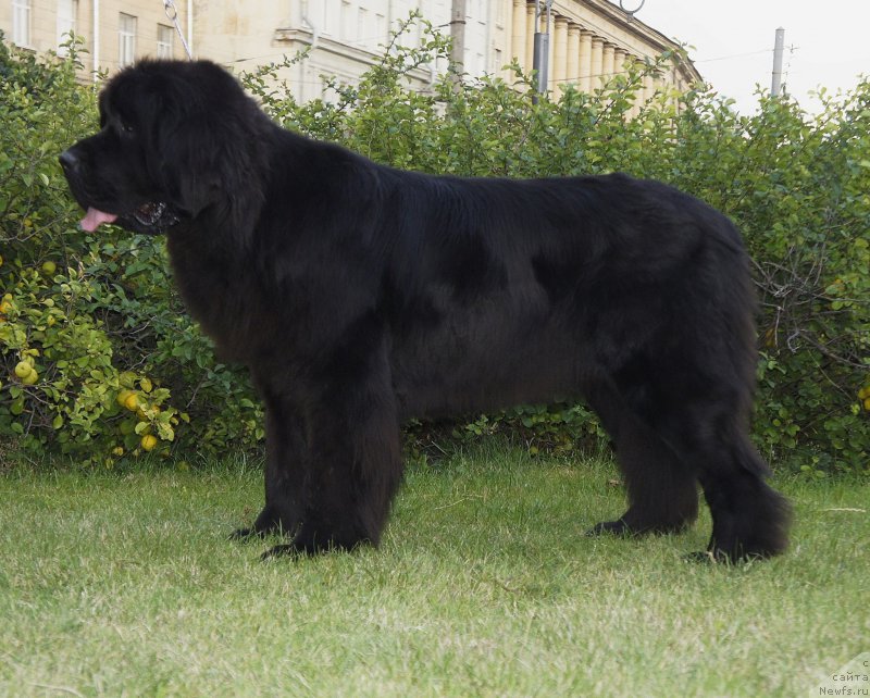 Фотография № 191022