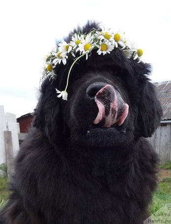 Фотография № 191064