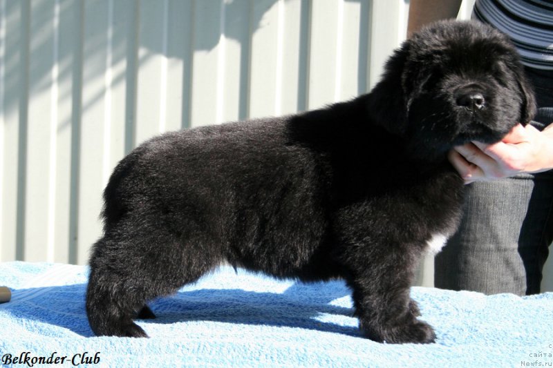 Фотография № 191071