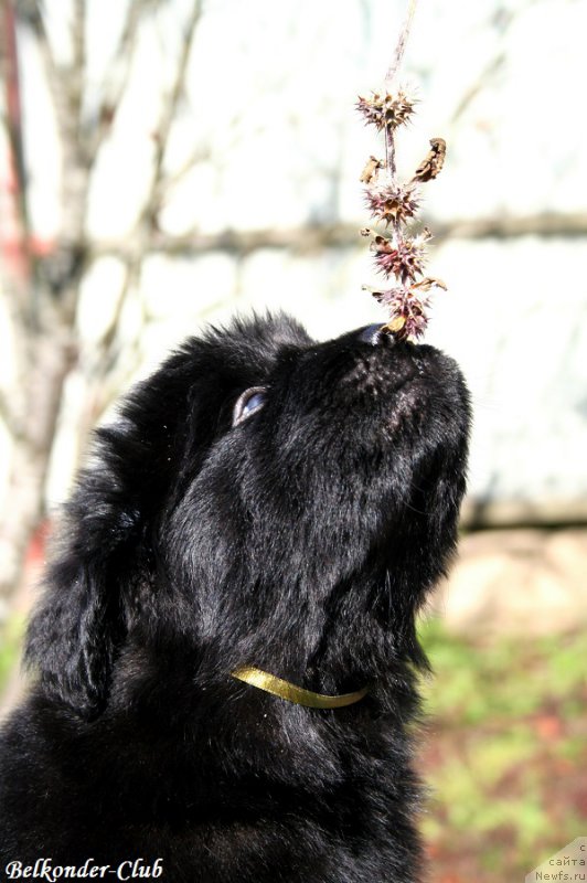 Фотография № 191091