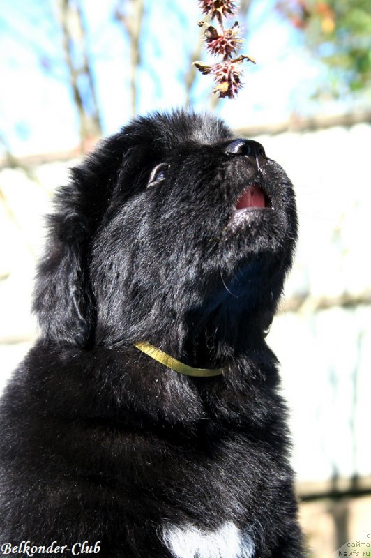 Фотография № 191092