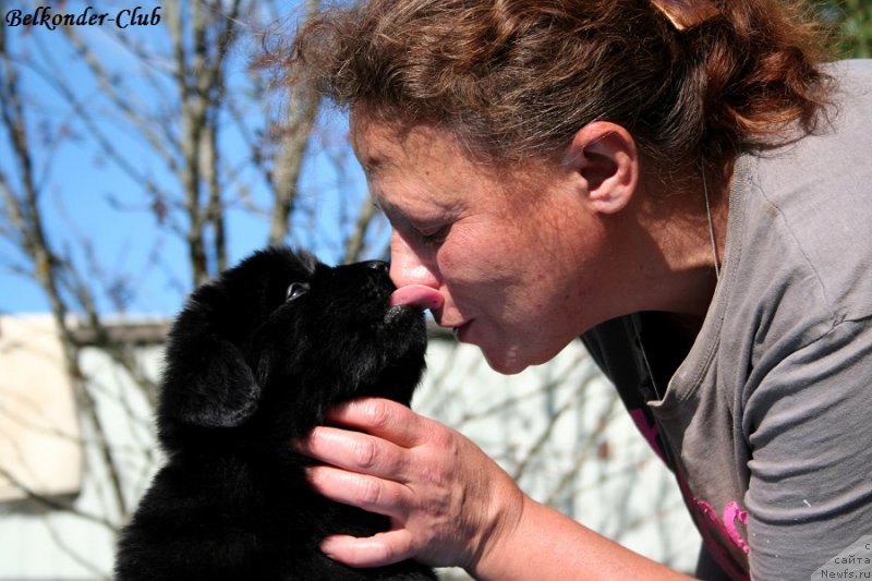 Фотография № 191095