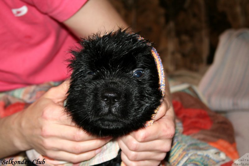 Фотография № 191101