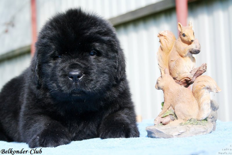 Фотография № 191105