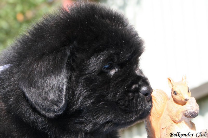 Фотография № 191107