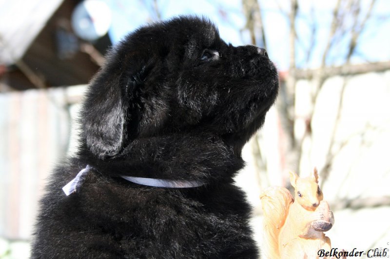 Фотография № 191108