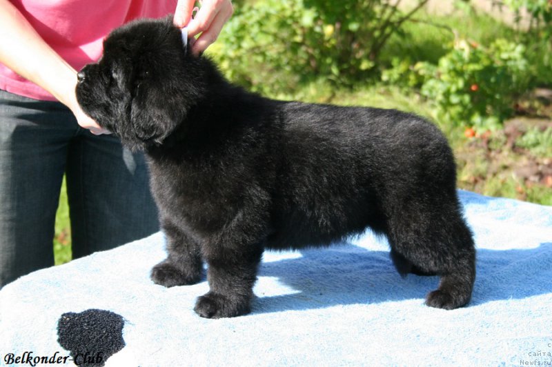 Фотография № 191122