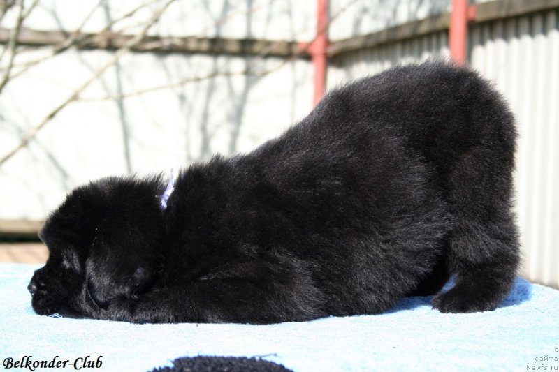 Фотография № 191125