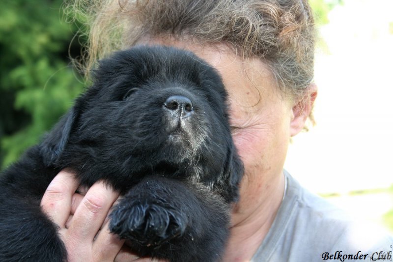 Фотография № 191130