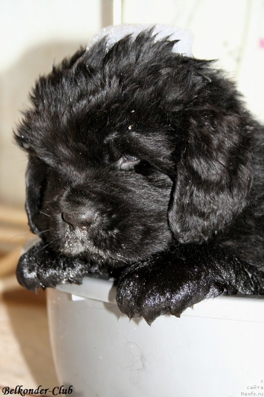 Фотография № 191134