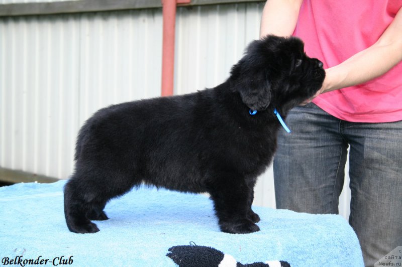 Фотография № 191137