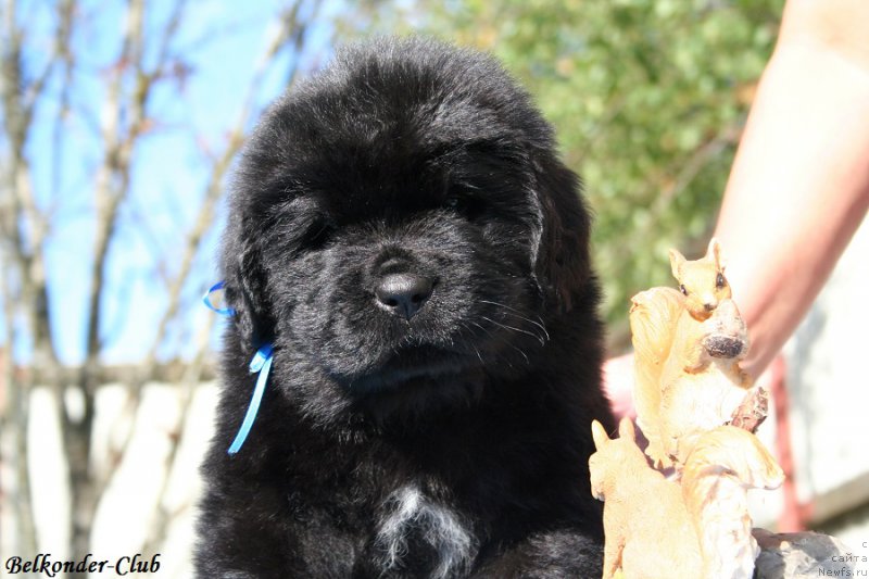 Фотография № 191138