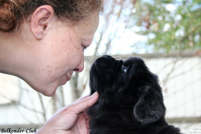 Фотография № 191152