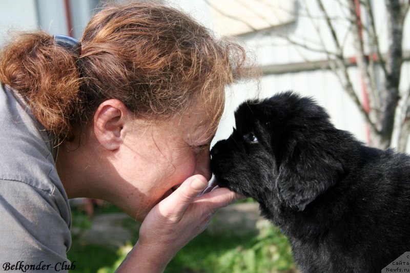 Фотография № 191153