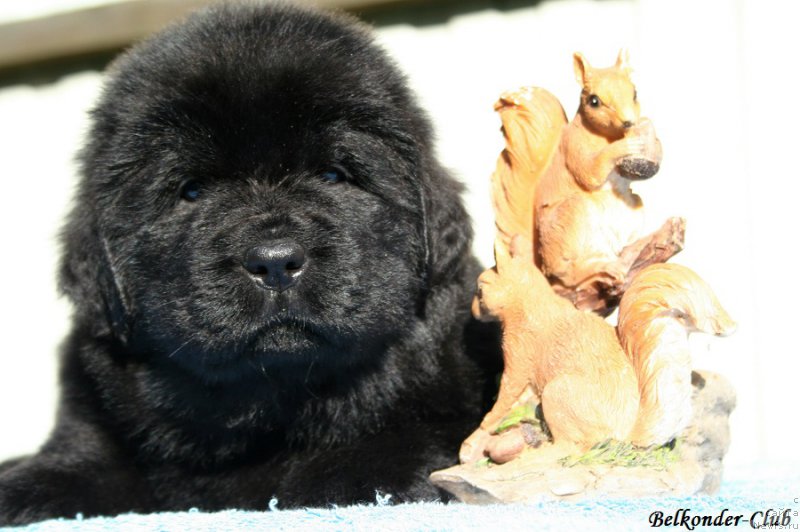 Фотография № 191155