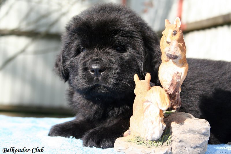 Фотография № 191157