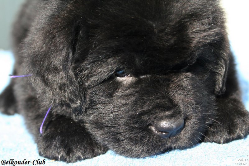 Фотография № 191171