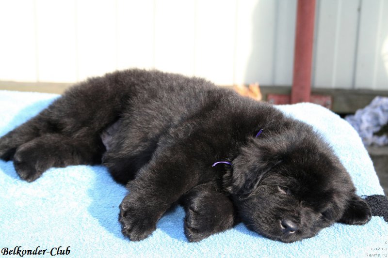 Фотография № 191172