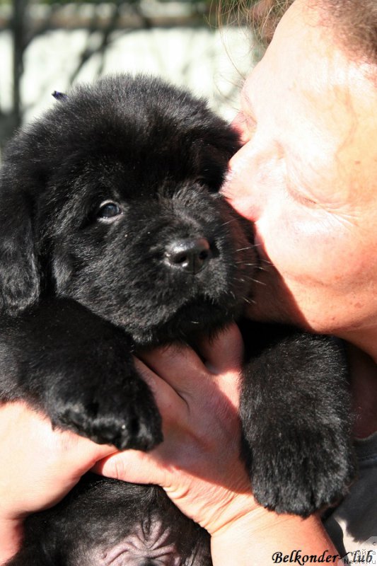 Фотография № 191174