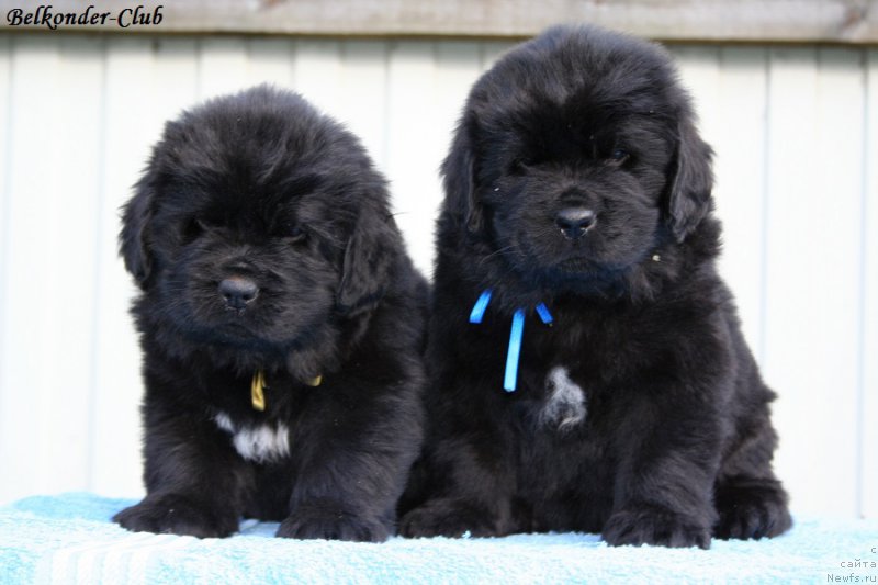 Фотография № 191179