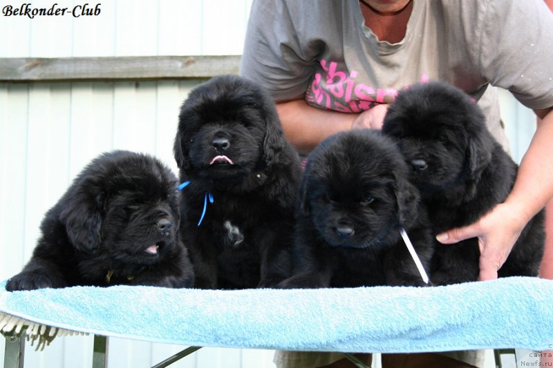 Фотография № 191183