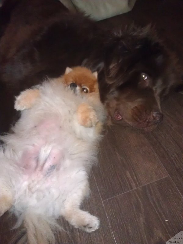 Фотография № 191235