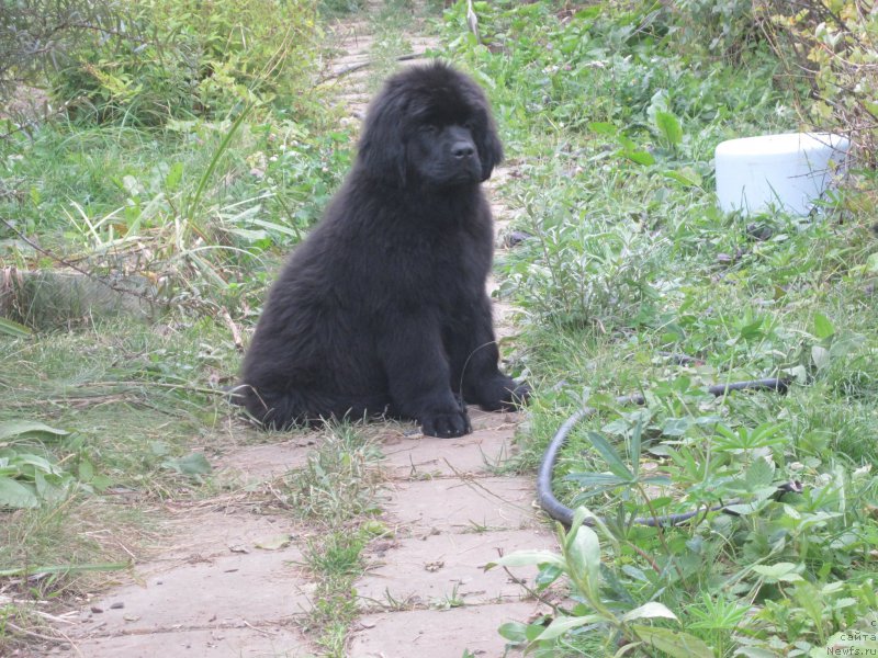 Фото: Natal'ya Smazchikova (Наталья Смазчикова)