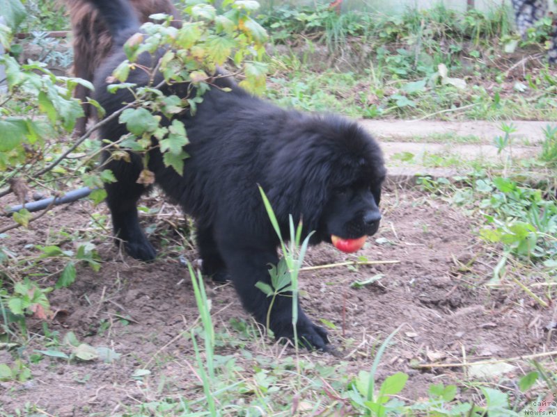 Фото: Natal'ya Smazchikova (Наталья Смазчикова)