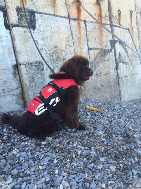 Фотография № 191251