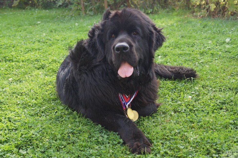 Фотография № 191297