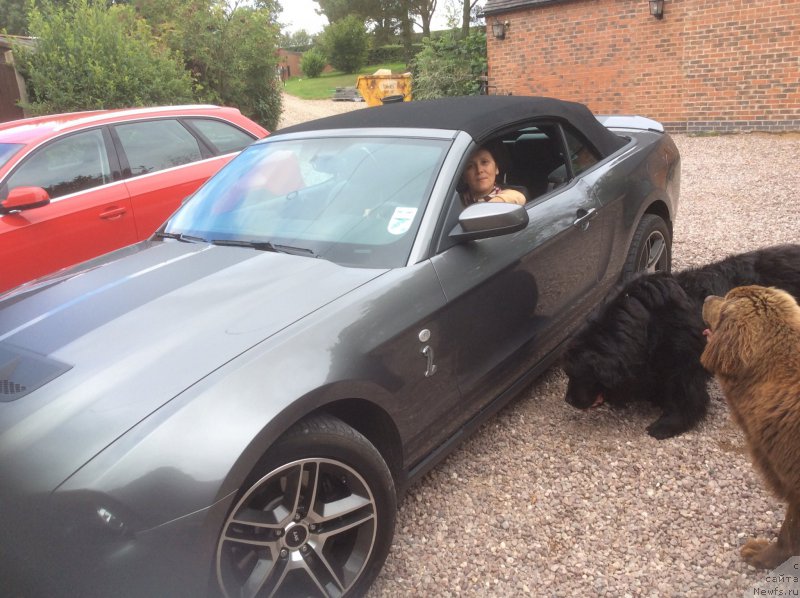 Фотография № 191326