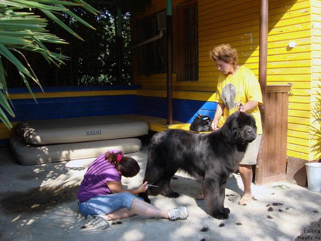 Фотография № 19134