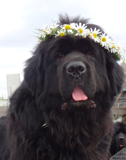 Фотография № 191349