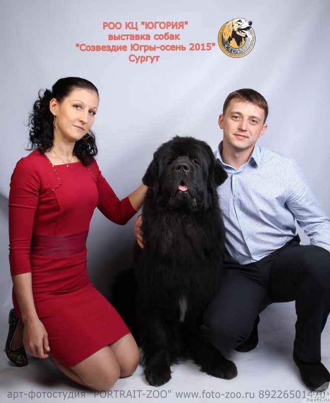 Фотография № 191362