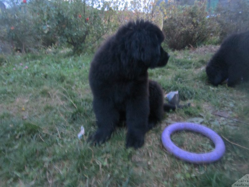 Фото: Natal'ya Smazchikova (Наталья Смазчикова)