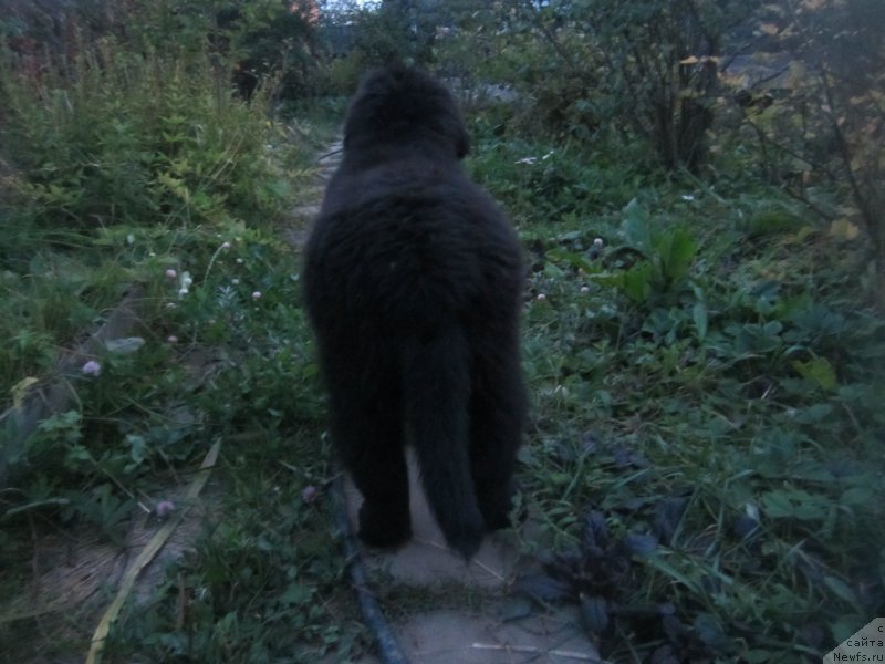 Фото: Natal'ya Smazchikova (Наталья Смазчикова)