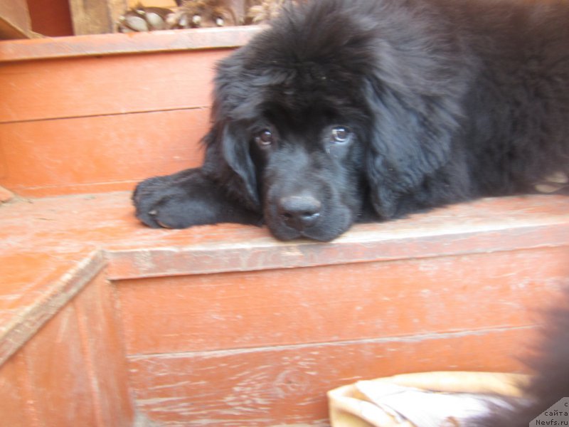 Фото: Natal'ya Smazchikova (Наталья Смазчикова)