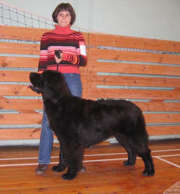 Фотография № 19138