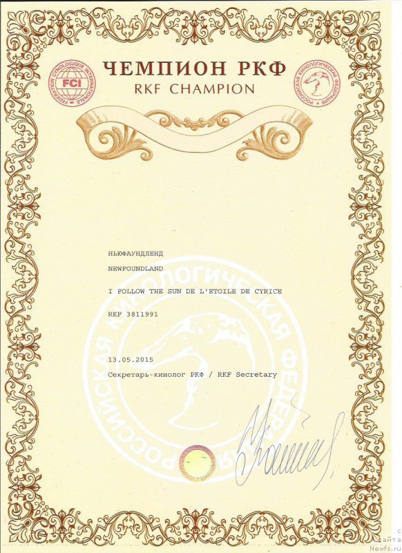 Фото: ньюфаундленд I Follow The Sun de L'Etoile de Cyrice