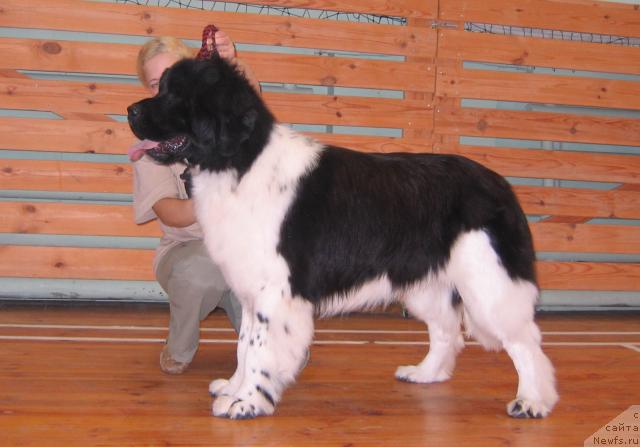 Фотография № 19139