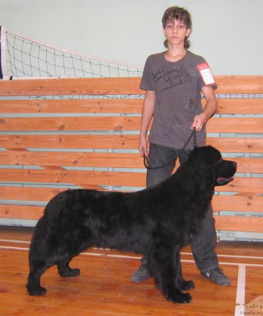 Фотография № 19140