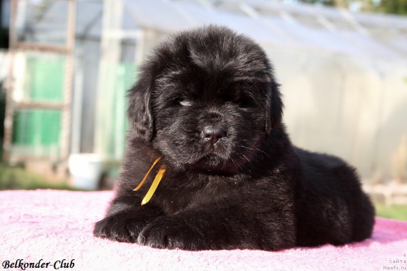 Фотография № 191417