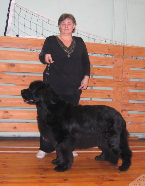 Фотография № 19142